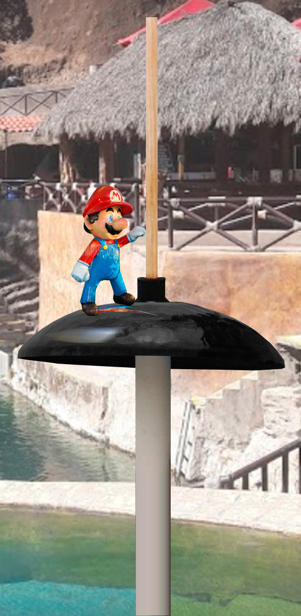 Hongo Acuatico MArio